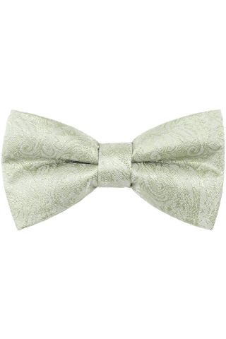 Paisley Pastel green satin classic mens bow tie
