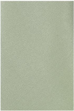 Plain Pastel green satin swatch card 